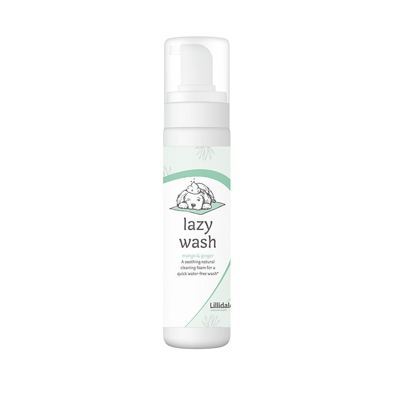 Espuma Limpiadora Lazy Wash 200ml Lillidale