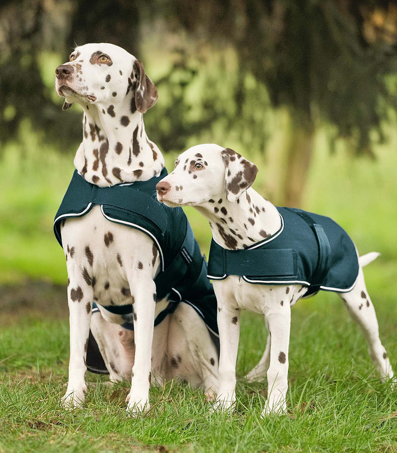 Chaqueta Impermeable para Perros Waldhausen