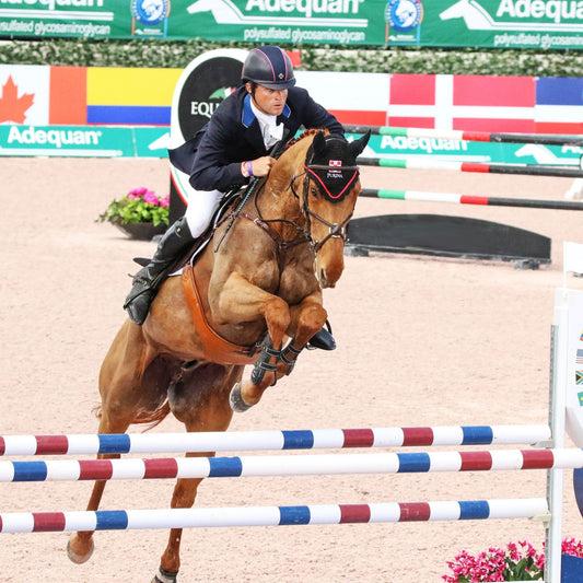 Protectores Boyd Martin Tendon Majyk Equipe