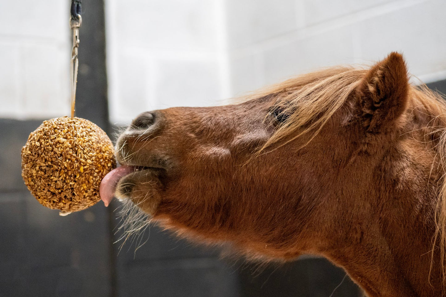 LIKIT GRANOLA STALL BALL -