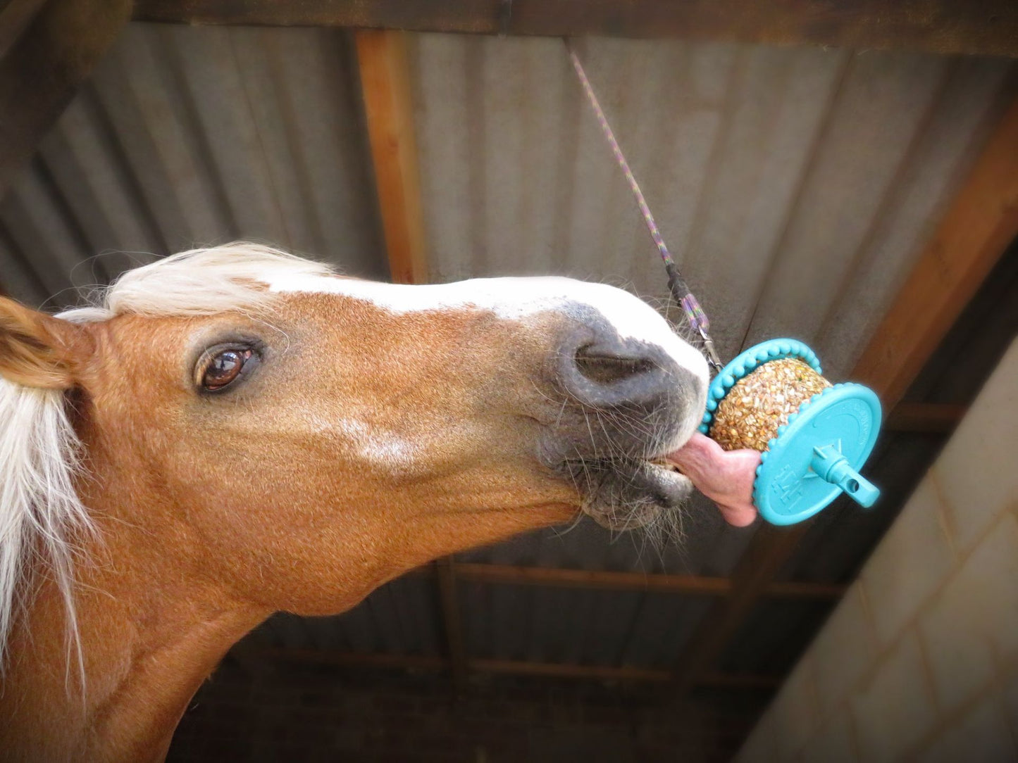 LIKIT GRANOLA REFILL