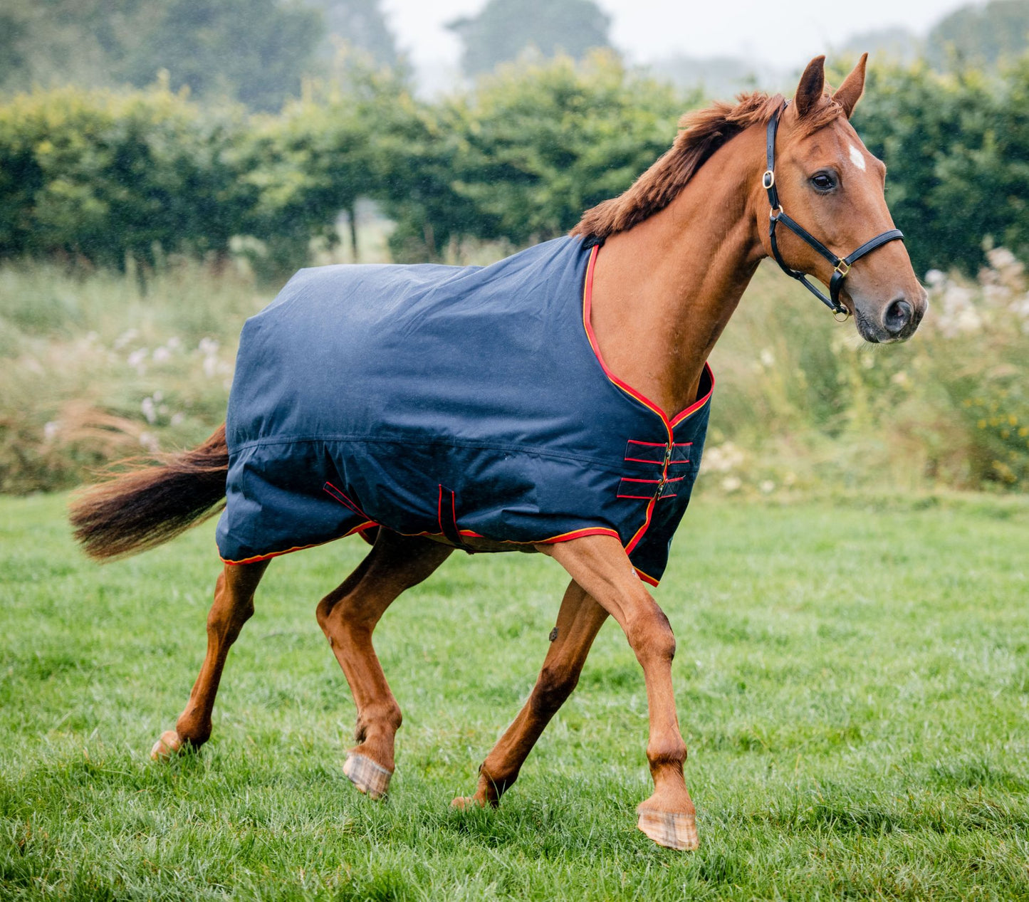 Manta Impermeable Light Equisential