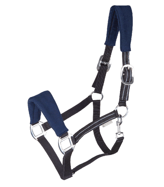 Cabezada Alcantara Waldhausen