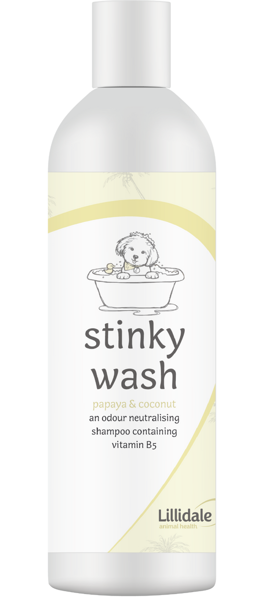 LILLIDALE STINKY WASH SHAMPOO - 250ML