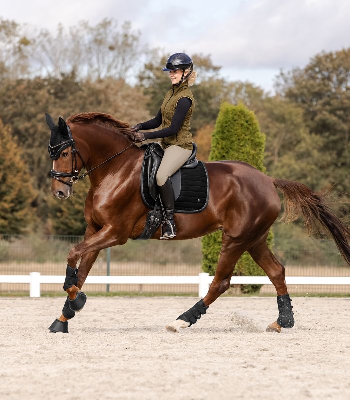 St. Gallen saddle pad