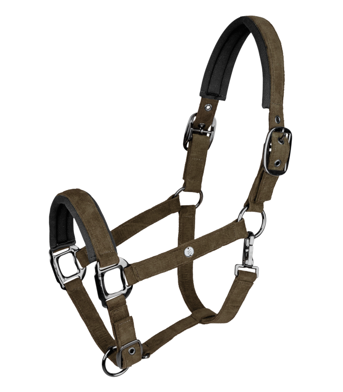 St. Gallen halter