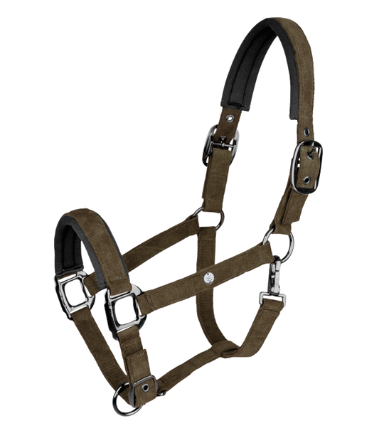 Cabezada St. Gallen Waldhausen