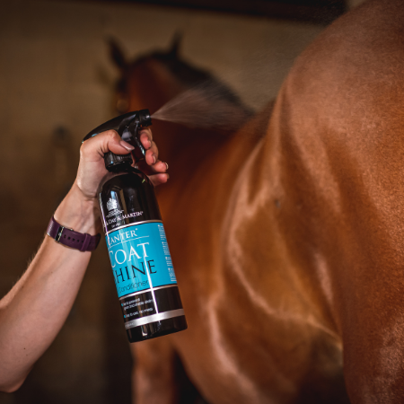 Espray Acondicionador Canter Coat Shine 500ml Carr & Day & Martin
