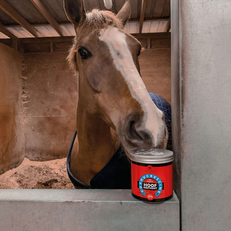 Grasa para Cascos Hoof Grease 500ml Carr & Day & Martin