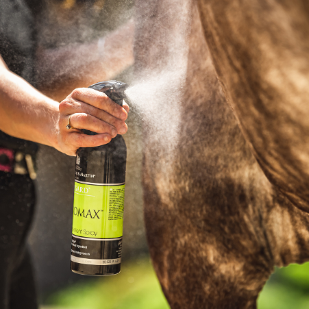 Espray Repelente Natural Citromax 500ml Carr & Day & Martin