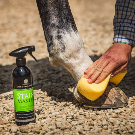 Espray Limpiador Manchas Stain Master 500ml Carr & Day & Martin