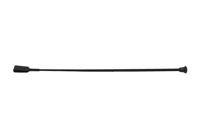 C14 WHIP