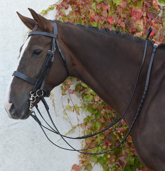 MACKEY CLASSIC DOUBLE BRIDLE