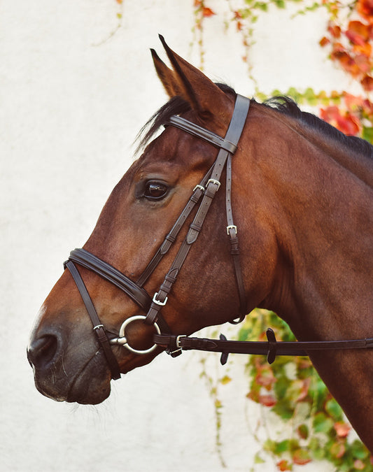 BRIDA EQUISENCIAL - COMPLETA