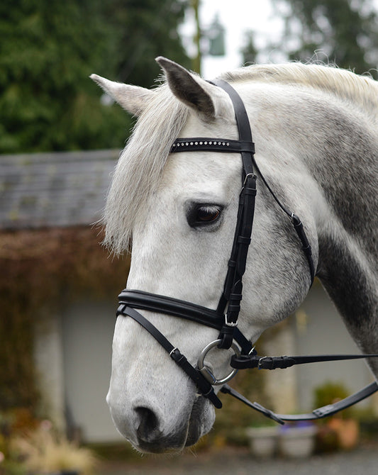 BRIDA BLING EQUISENCIAL