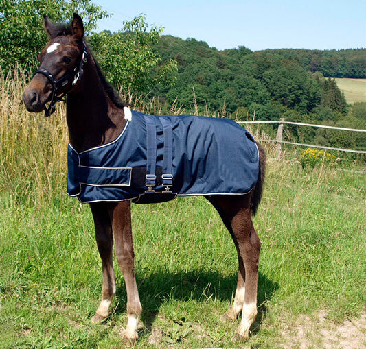 ALFOMBRA FOAL - MARINO