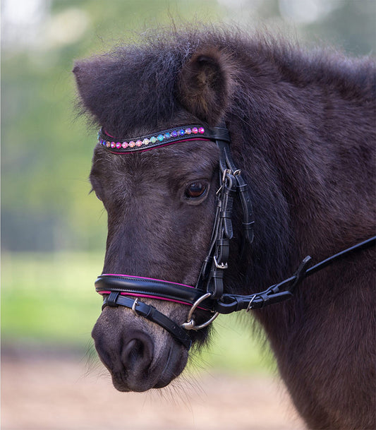 STAR BRIDLE PINKY