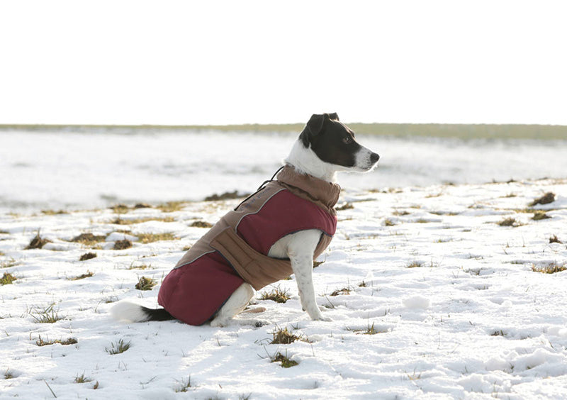 ROYAL DOG COAT