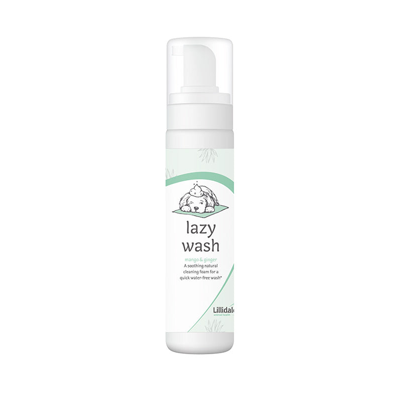 LILLIDALE LAZY WASH FOAM
