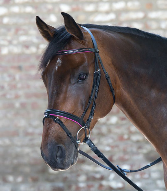STAR DIAMOND BRIDLE