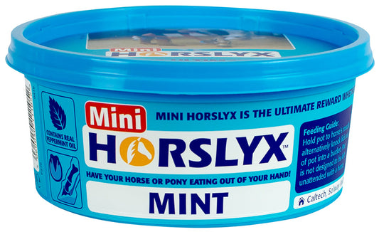 EQUILIBRADOR HORSLYX MENTA MINI - 650G