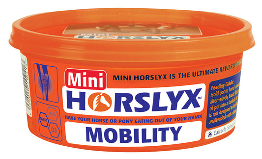 EQUILIBRADOR DE MOVILIDAD HORSLYX MINI - 650G