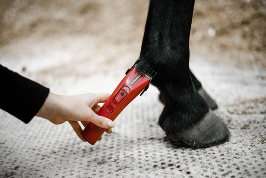 Liveryman Nova Trimmer