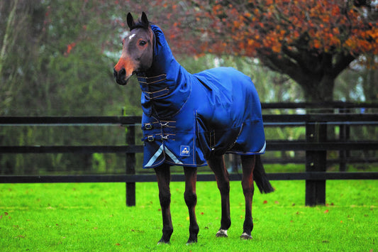 ALFOMBRA LIGERA WICKLOW