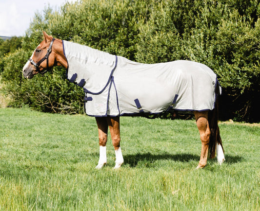 ALFOMBRA MOSCAS EQUI-ESENCIAL