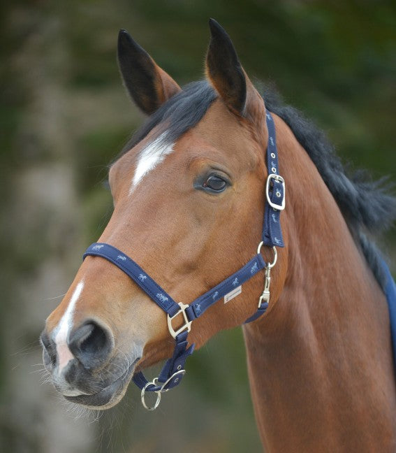 Horse Halter