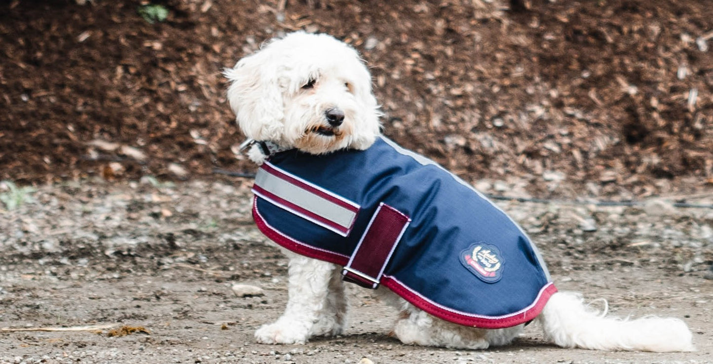MACKEY BUSTER DOG COAT