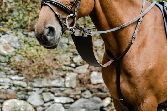 MACKEY CLASSIC BIB MARTINGALE