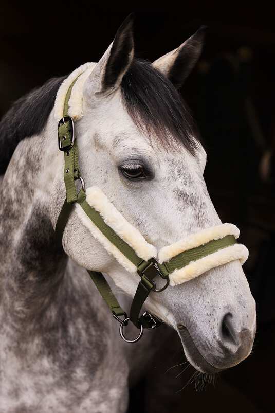 Horze Marquess Faux Fur Stable Headstall