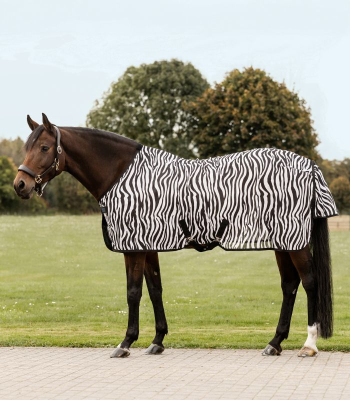Zebra fly blanket with cross surcingles