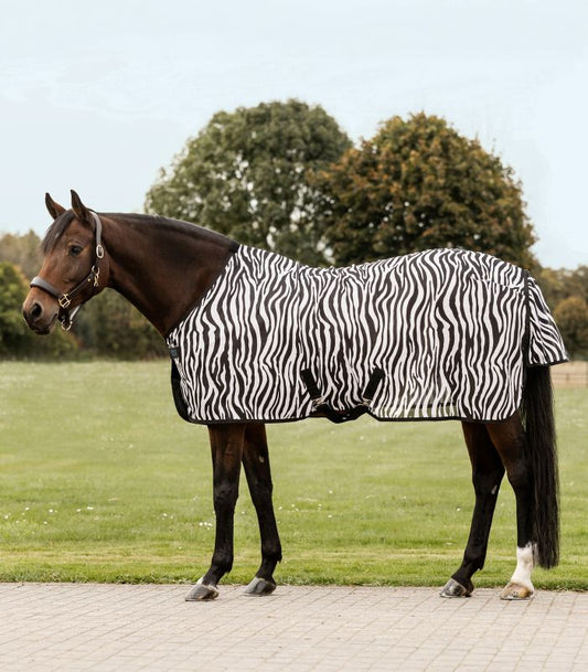 Zebra fly blanket with cross surcingles