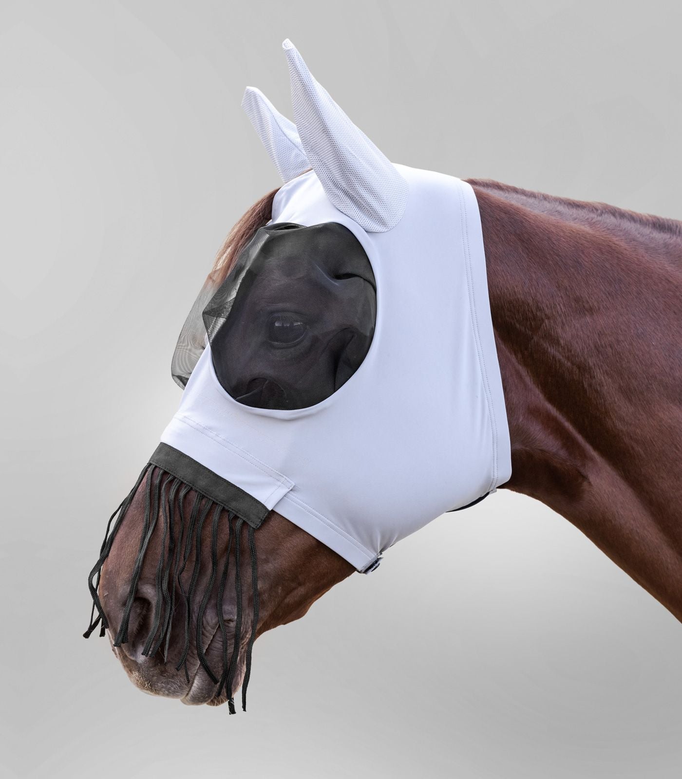 Puck fly mask with nose fringes