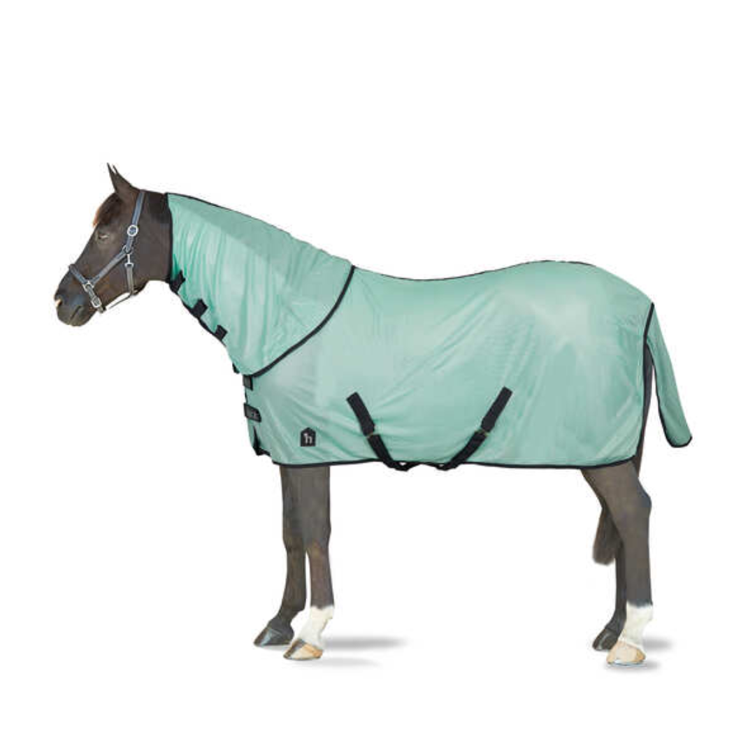 Paso Fino Fly Rug with Detachable Neck and UV Protection