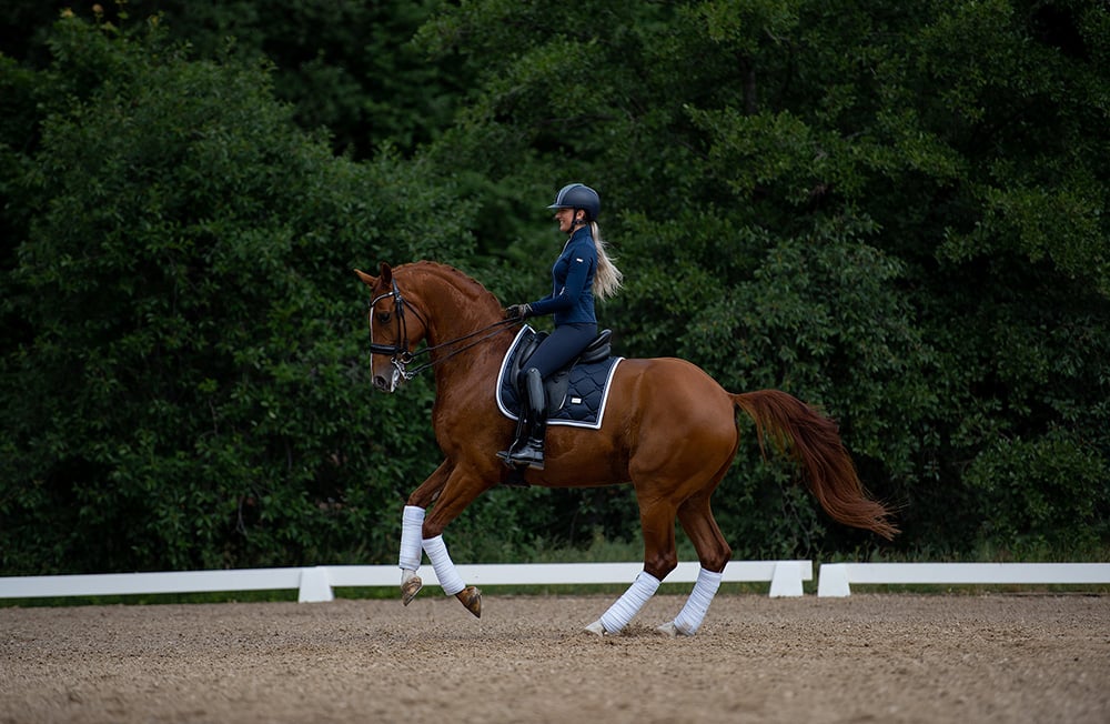 Midnight White Edge Dressage Saddle Pad: Elegant Navy Blue, Quick Dry, Dirt Resistant