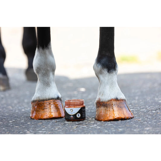 Excellent Horse Hi Gloss Glitter Hoof Polish 150ml