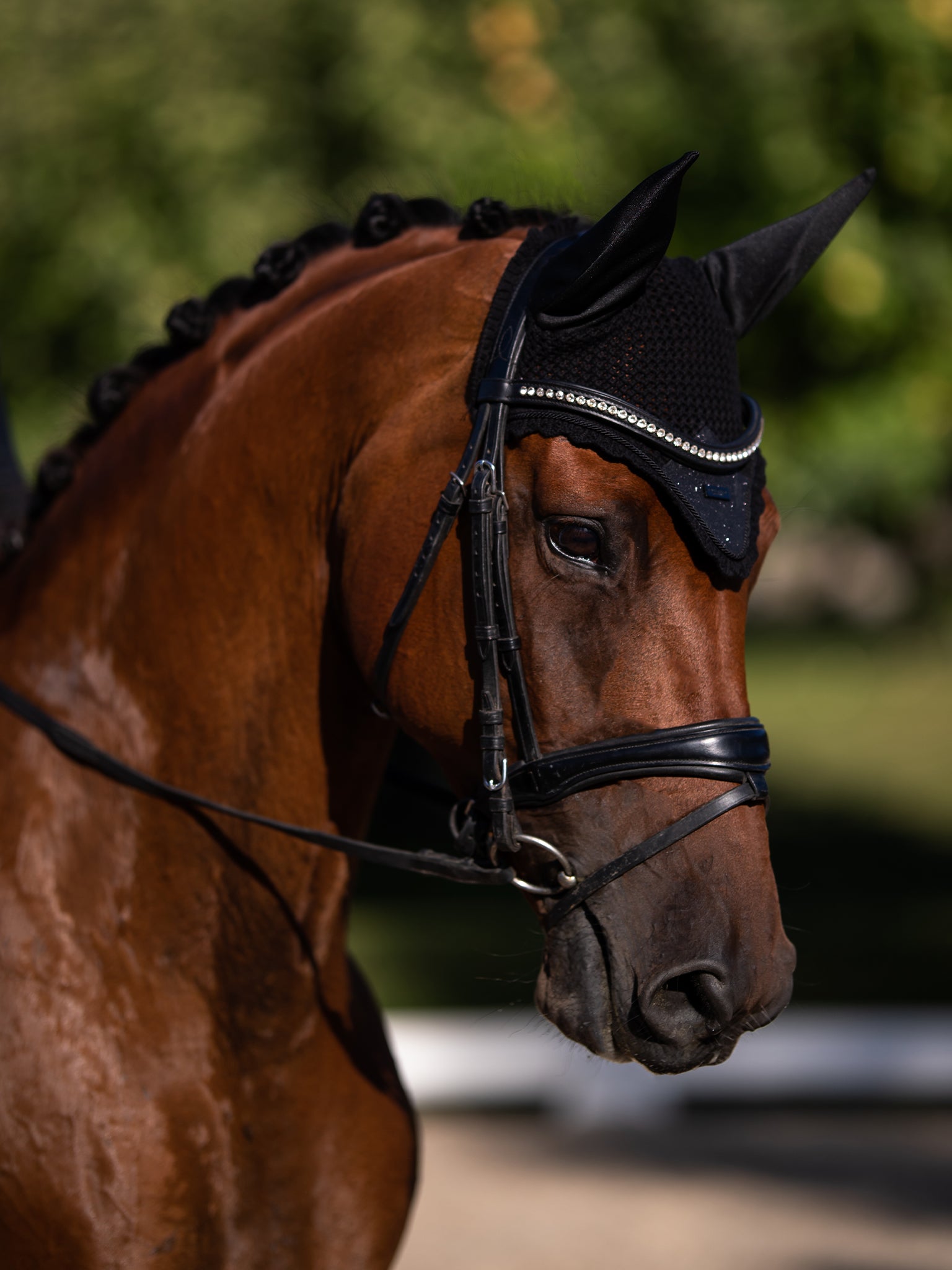 Stylish All Black Glimmer Horse Ear Bonnet: Comfort & Noise Reduction