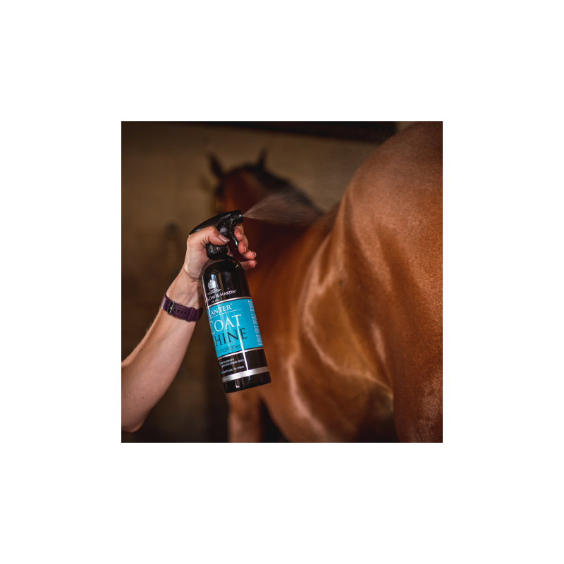 CARR & DAY & MARTIN Canter Coat Shine Hair Shine Spray 500ml