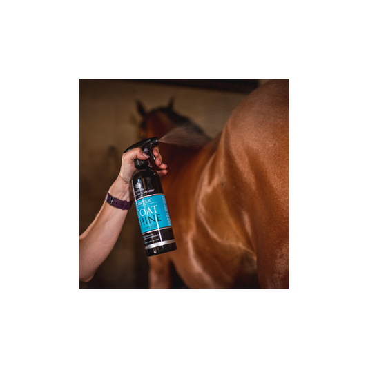 CARR & DAY & MARTIN Canter Coat Shine Hair Shine Spray 500ml