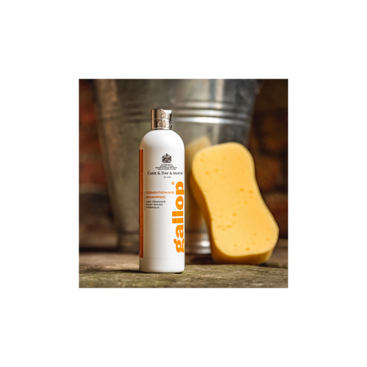 CARR & DAY & MARTIN  GALLOP Conditioning Shampoo 500ml
