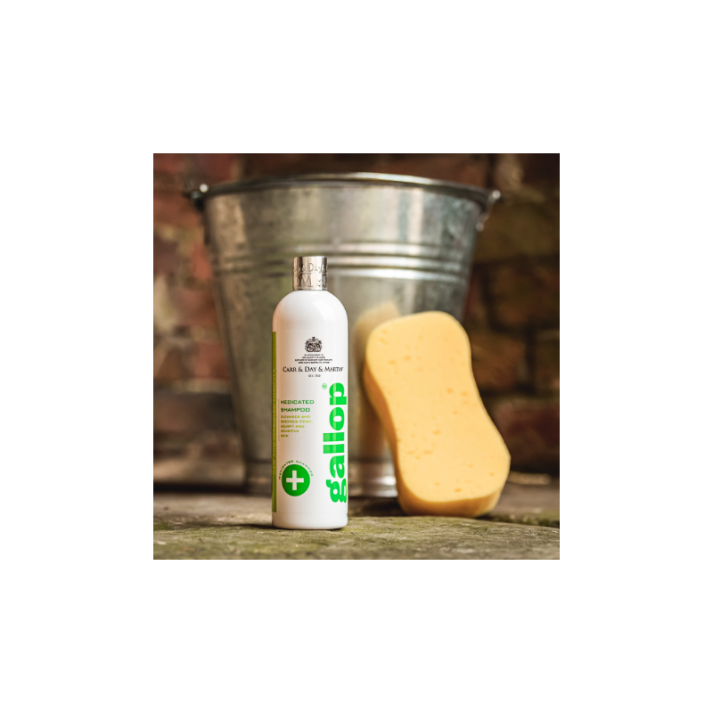 CARR & DAY & MARTIN  GALLOP Medicated Antiseptic Shampoo 500ml