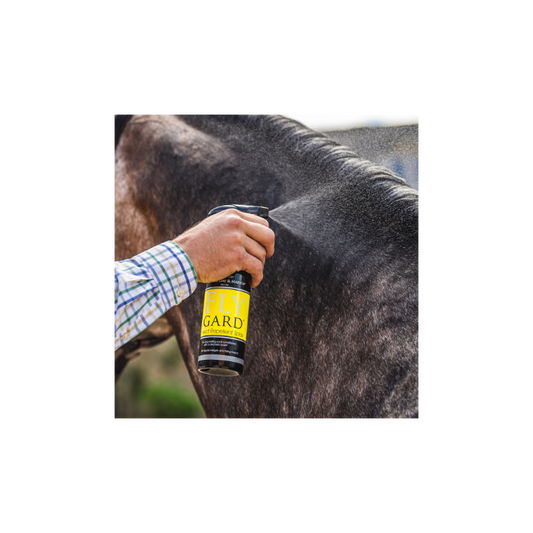 CARR & DAY & MARTIN  FLYGARD Repellent Spray 500ml.