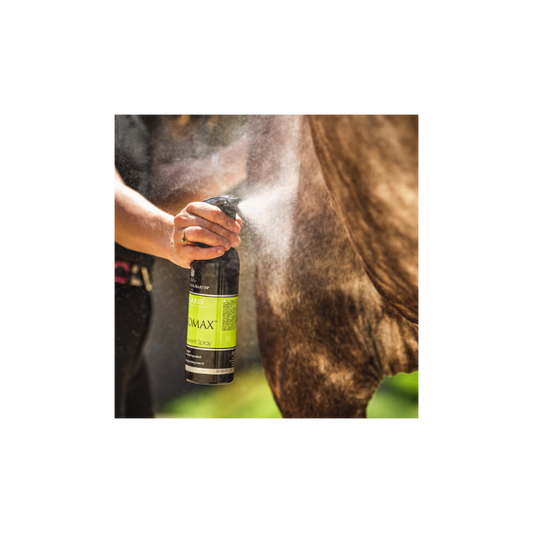 CARR & DAY & MARTIN  Natural repellent CITROMAX Spray 500ml