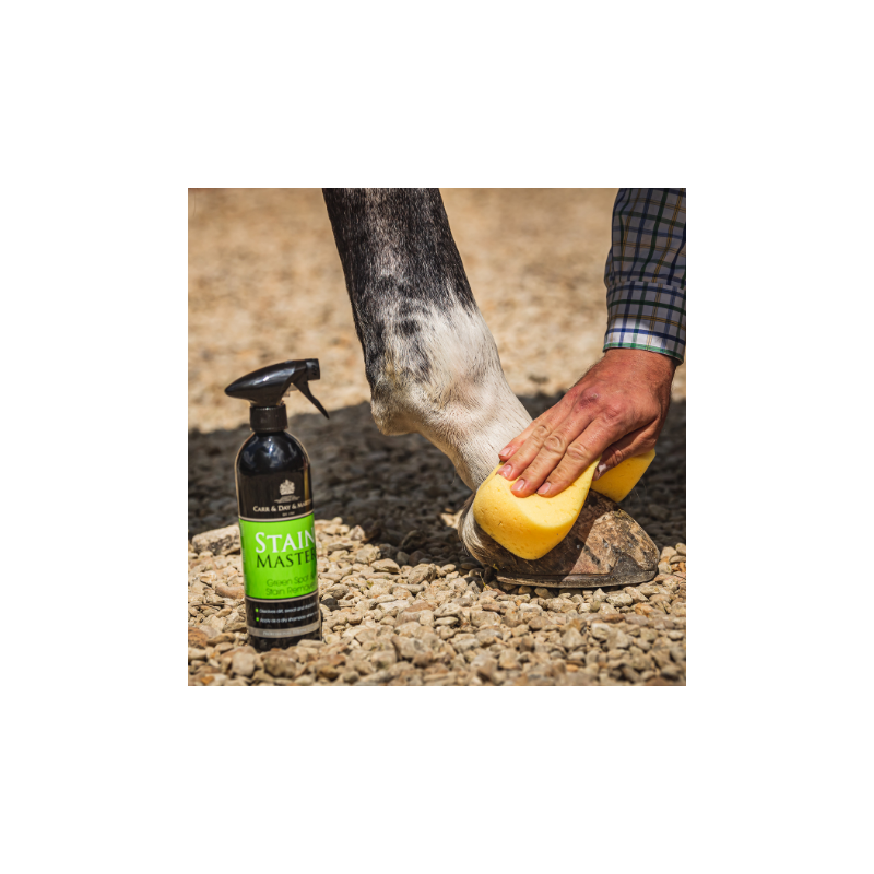 CARR & DAY & MARTIN  Stain Master Stain Cleaner Spray 500ml