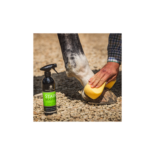 CARR & DAY & MARTIN  Stain Master Stain Cleaner Spray 500ml