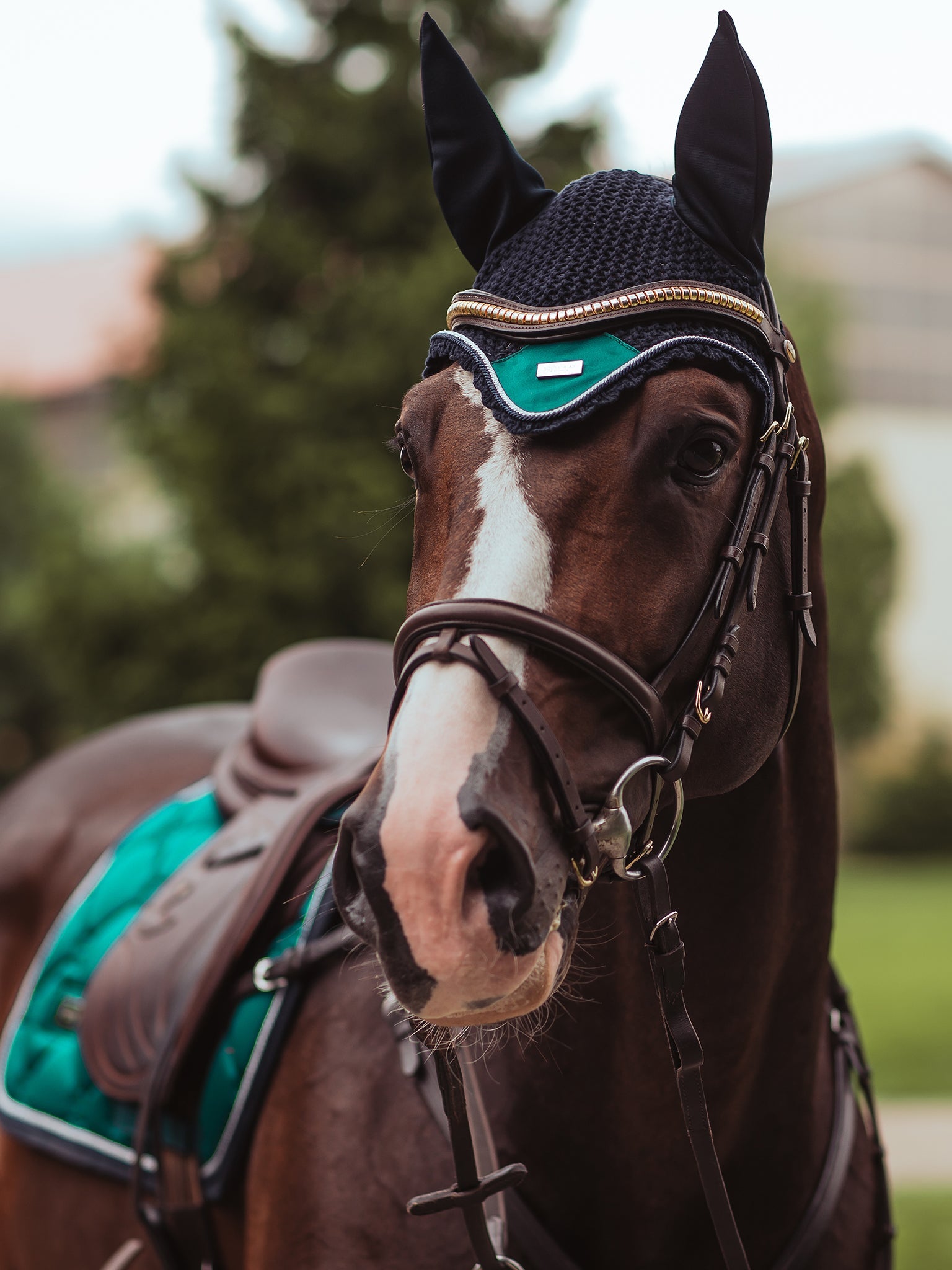 Luxurious Emerald Ear Bonnet for Horses: Noise Reduction & Insect Protection