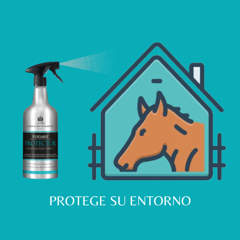CARR & DAY & MARTIN  INSECTICIDE FLYGARD PROTECTOR 1L